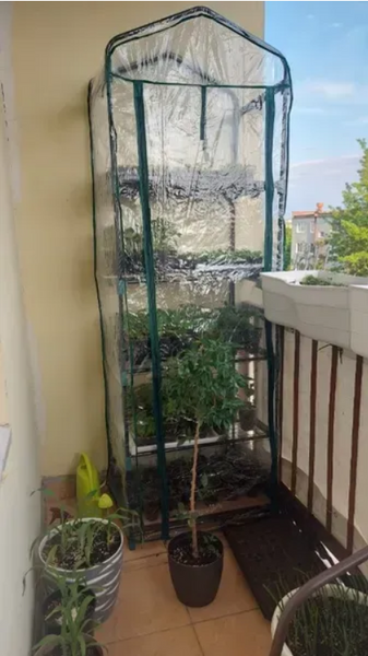 Міні-теплиця-стелаж, 5 полиць, 200x69x49 см 274301 фото